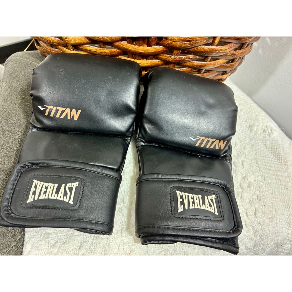 Everlast Titan Grappling Gloves Unisex  Black Good MMA Training